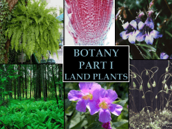 Botany Part I Land Plants