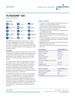 Filtrasorb 300 - Calgon Carbon