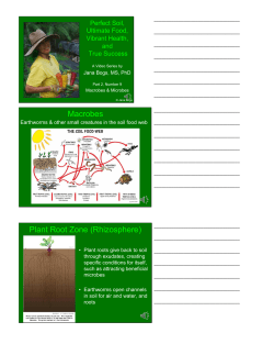Plant Root Zone (Rhizosphere)