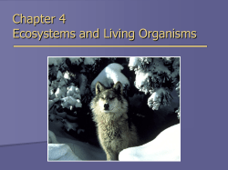 Chapter 4 Ecosystems and Living Organisms
