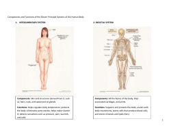 Components and Functions of the Eleven Principle Systems of the