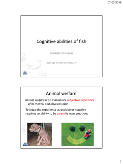 Cognitive abilities of fish