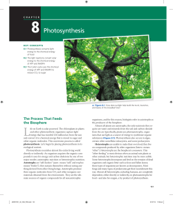 8 Photosynthesis