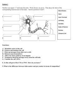 Brain Stations Packet