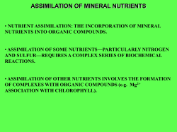 ASSIMILATION OF MINERAL NUTRIENTS NUTRIENT ASSIMILATION