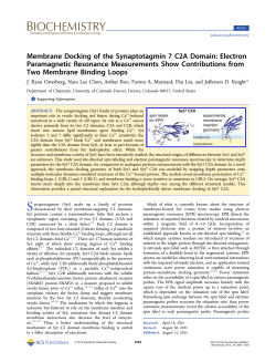 Membrane Docking of the Synaptotagmin 7 C2A Domain: Electron