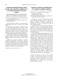 Carbonate biomineralization under aerobic and anaerobic