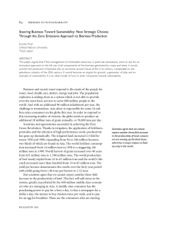 Steering Business Toward Sustainability: New Strategic Choices