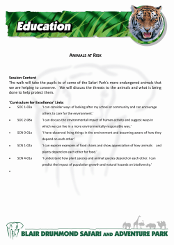 ANIMALS AT RISK Session Content The walk will take the pupils to
