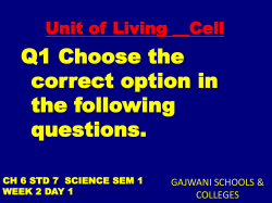 Constitutes of Diet - Gajwani International School