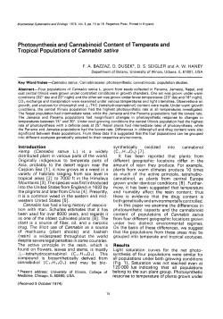 Photosynthesis and Cannabinoid Content of Temperate
