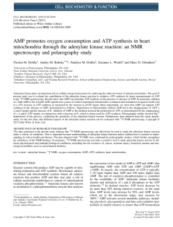 AMP promotes oxygen consumption and ATP synthesis in heart