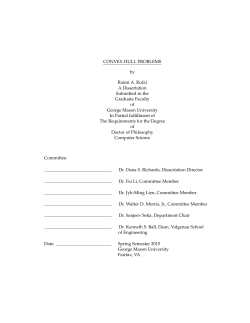 CONVEX HULL PROBLEMS by Raimi A. Rufai A Dissertation