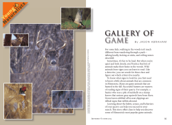 Gallery of Game.indd