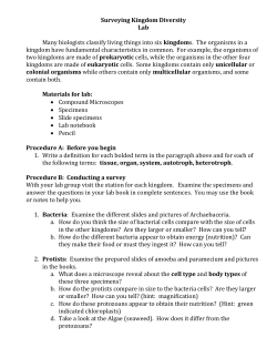 Surveying Kingdom Diversity lab