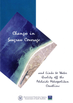 Changes in seagrass coverage and links to water quality off the
