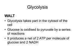 Glycolysis