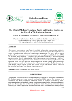 The Effect of Medium Containing Zeolite and Nutrient Solution on
