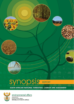 South African National Carbon Sinks Assessment