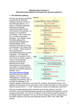 Bioinformatics Practical 5 Reconstructing metabolic processes from