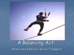 A Balancing Act: Indirect and Direct Active Transport