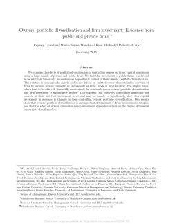 Owners` portfolio diversification and firm investment