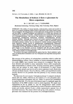 The Metabolism of Sodium 2 -Keto-~- gluconate by Micro