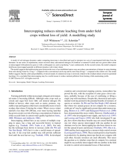 Intercropping reduces nitrate leaching from under field crops without