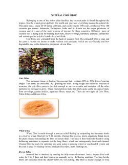 NATURAL COIR FIBRE Belonging to one of the oldest plant families
