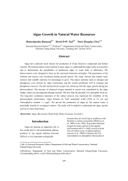 Algae Growth in Natural Water Resources