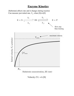 Enzyme Kinetics