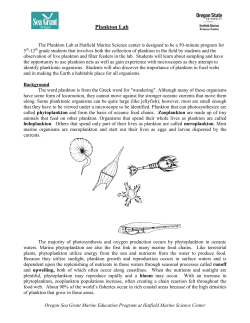 Animal Adaptations - Hatfield Marine Science Center