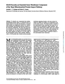 MAS6 Encodes an Essential Inner Membrane Component of the
