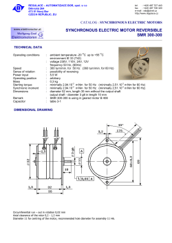SYNCHRONOUS ELECTRIC MOTOR REVERSIBLE SMR 300-300
