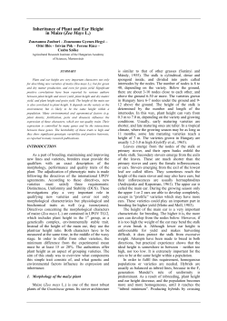 INHERITANCE OF PLANT AND EAR HEIGHT IN MAIZE (ZEA MAYS L