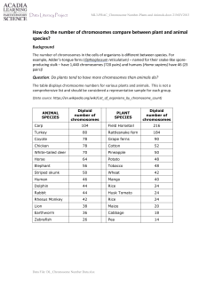 Chromosome Number - Plants and Animals