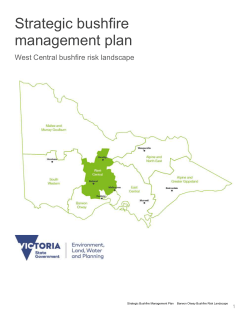 the Strategic Bushfire Management Plan