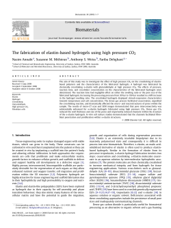 The fabrication of elastin-based hydrogels using high pressure CO2