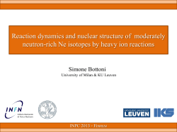 Reaction dynamics and gamma spectroscopy studies of Ne isotopes