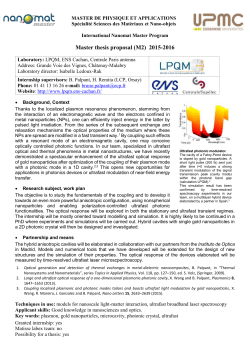 LPQM_Hybrid cavities_Bruno Palpant