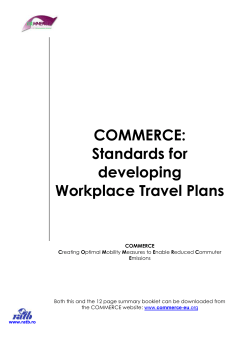 Standards for Developing Workplace Travel Plans