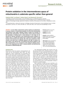 Protein oxidation in the intermembrane space of