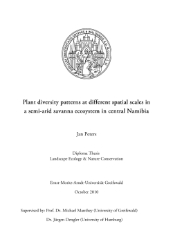 Plant diversity patterns at different spatial scales in a semi