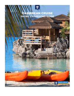 Labadee Wave Jet Tour - Driver