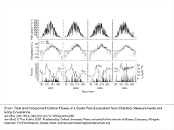 Total and Component Carbon Fluxes of a Scots Pine Ecosystem