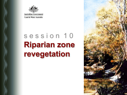 back to revegetation