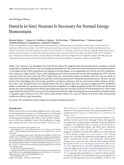 Dnmt3a in Sim1 Neurons Is Necessary for Normal Energy