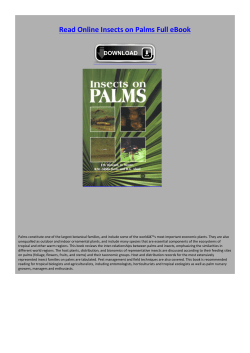 Read Online Insects on Palms Full eBook