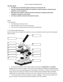 THE CELL THEORY AND PROKARYOTES YOU MUST KNOW: The