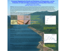 Processes Regulating the Growth and Distribution of Phytoplankton